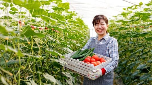 The Global Harvest Fund: Food Security & Sustainable Agriculture