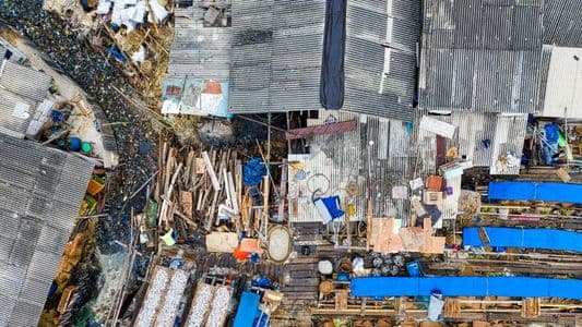 The Uplift Initiative: Breaking the Cycle