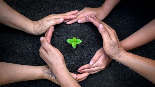 The Vital Earth Alliance: Coastal Restoration & Conservation